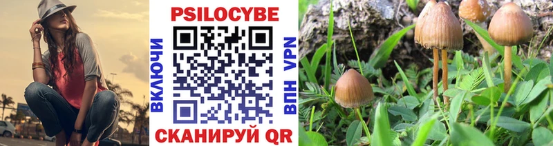 Галлюциногенные грибы Psilocybe  blacksprut ТОР  Рославль  сколько стоит 